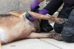 H&H Medical SWAT ™TourniquetBy Safeguard Medical -Medical Supply Store 3441 p05 515Wx515H 8845810565150